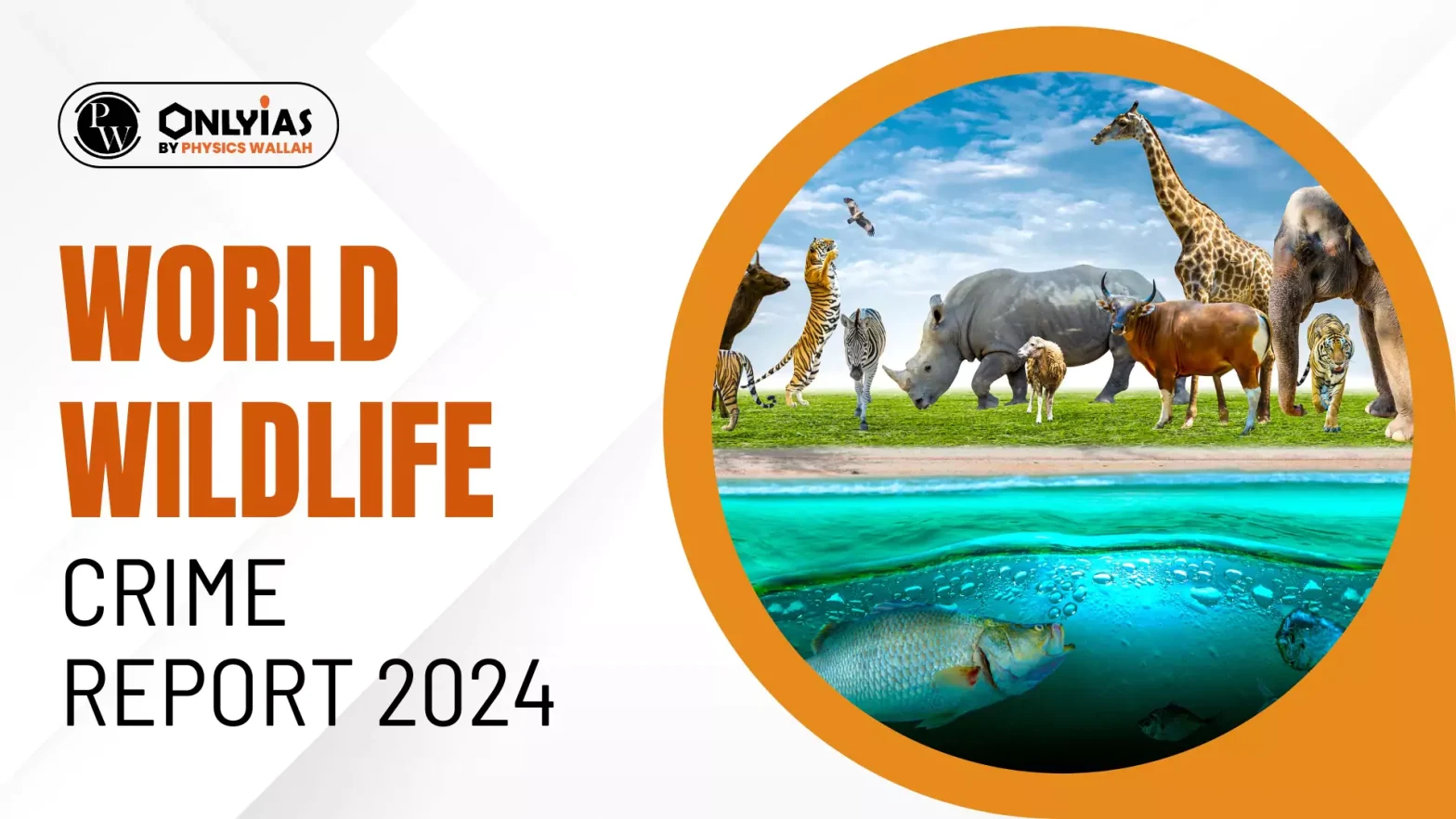 World Wildlife Crime Report 2024