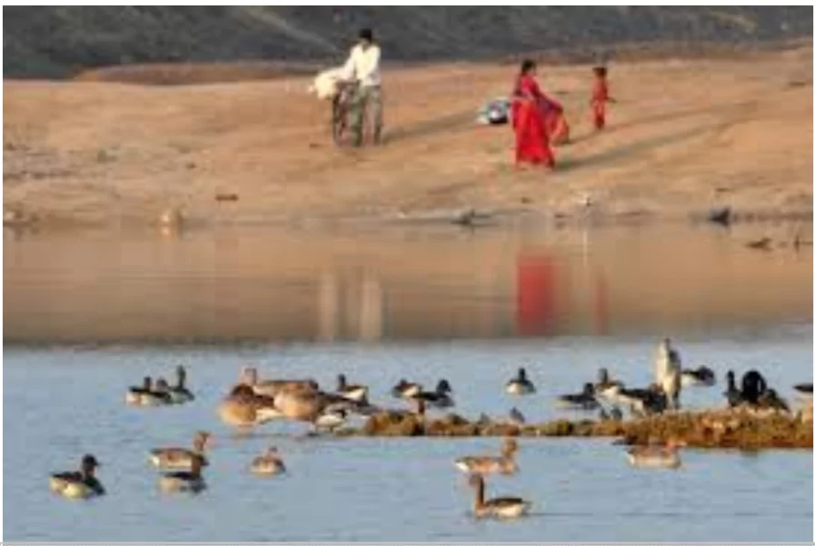 Nagi and Nakti Bird Sanctuaries