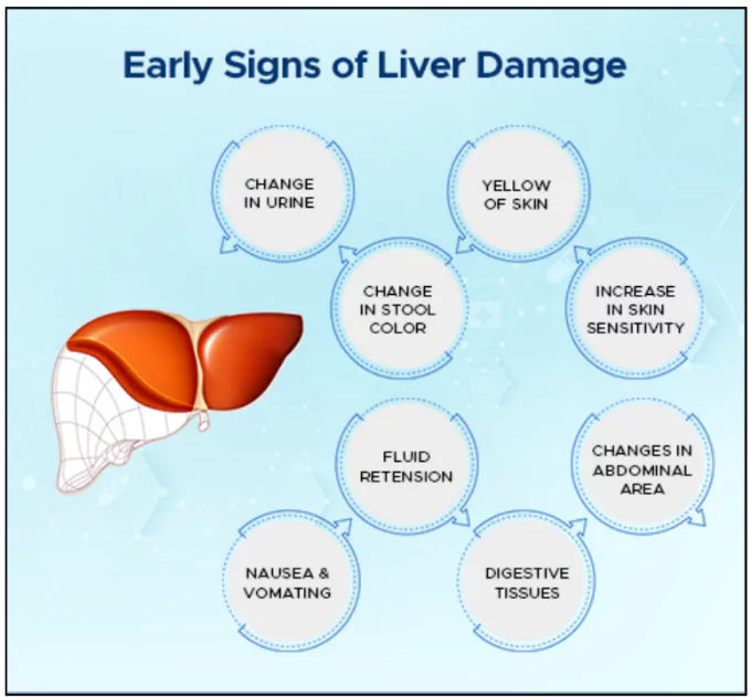 Fatty Liver Disease