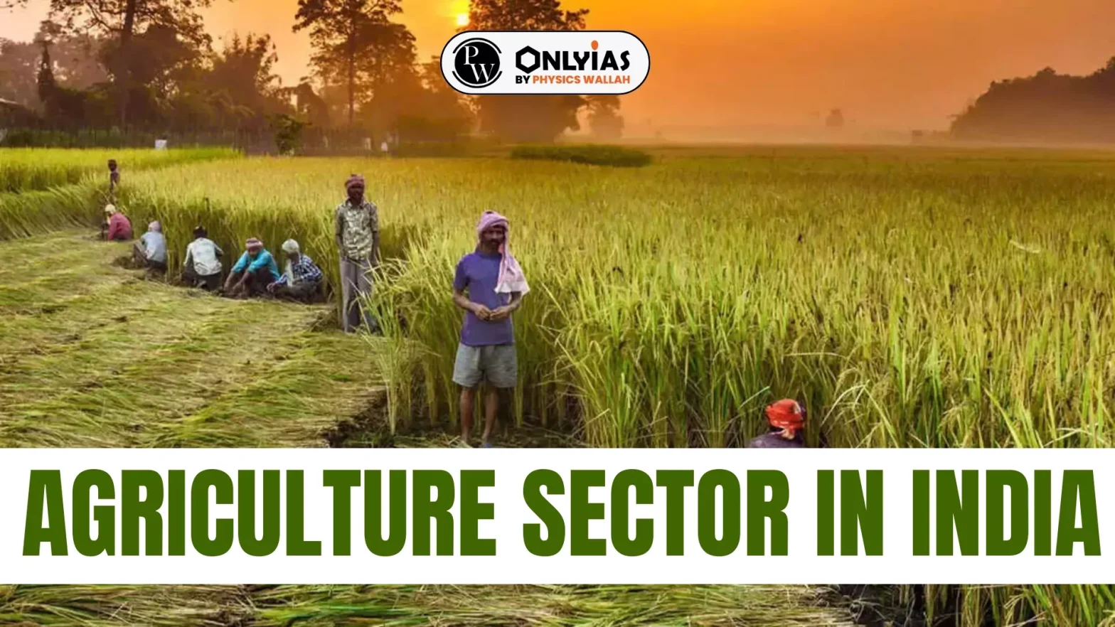 Agriculture Sector In India