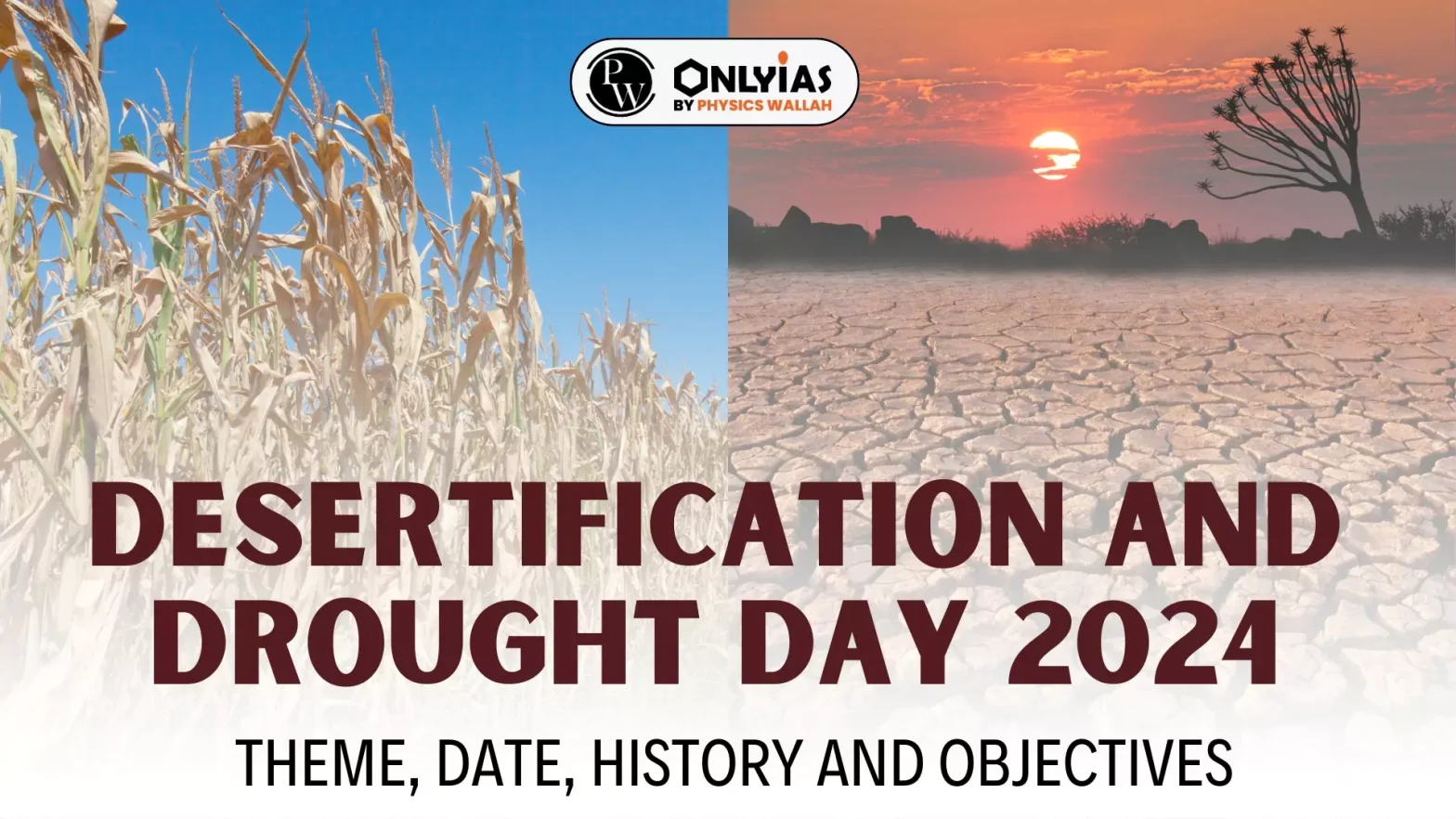 Desertification and Drought Day 2024 Theme, Date, History and Objectives