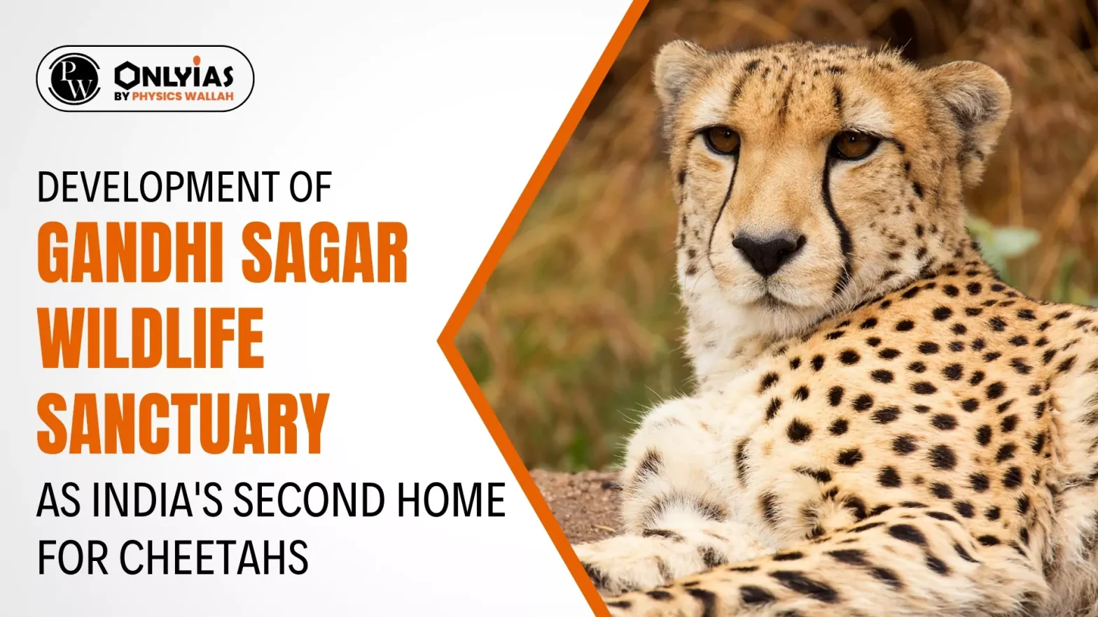 Development of Gandhi Sagar Wildlife Sanctuary as India’s Second Home for Cheetahs