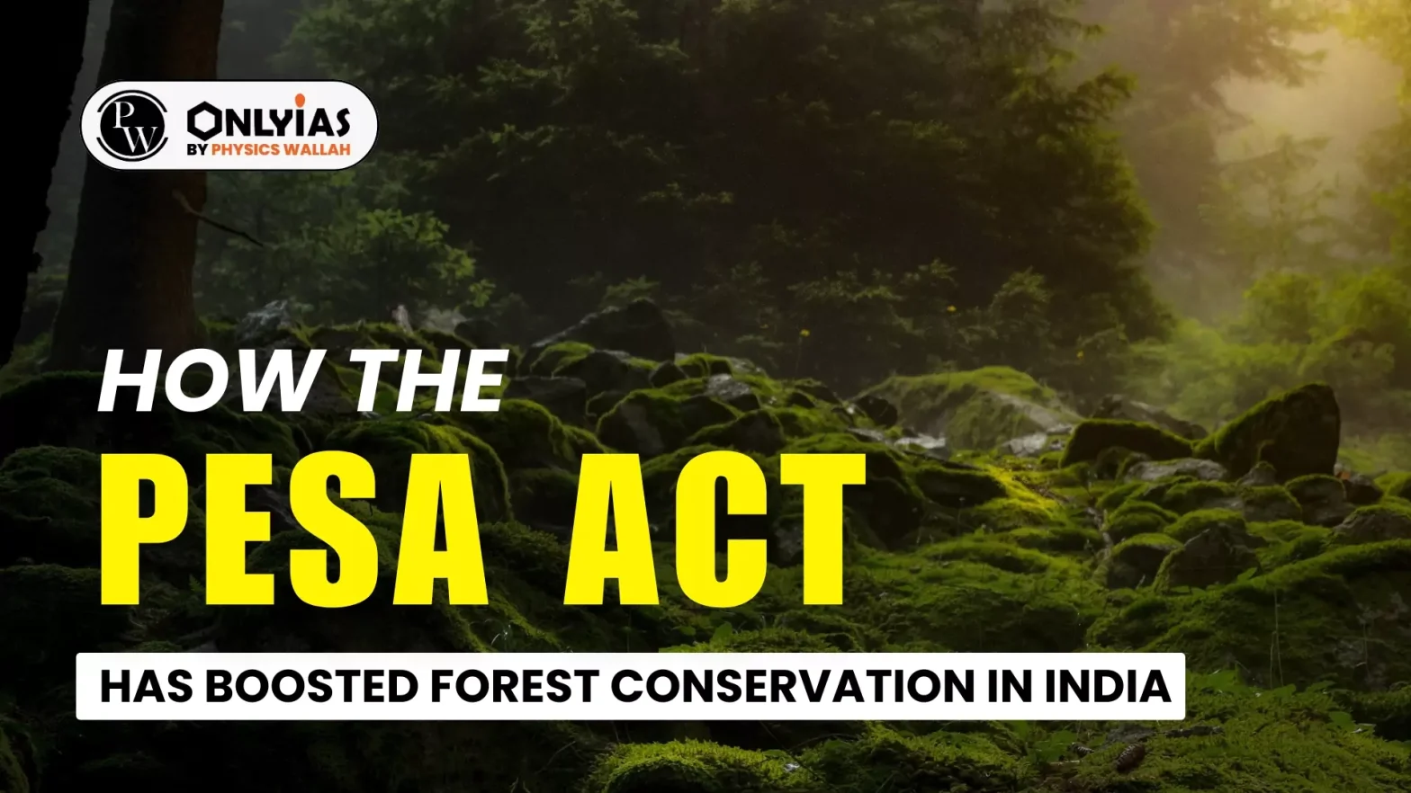 How the PESA Act has Boosted Forest Conservation in India