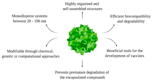 Virus-like Particles