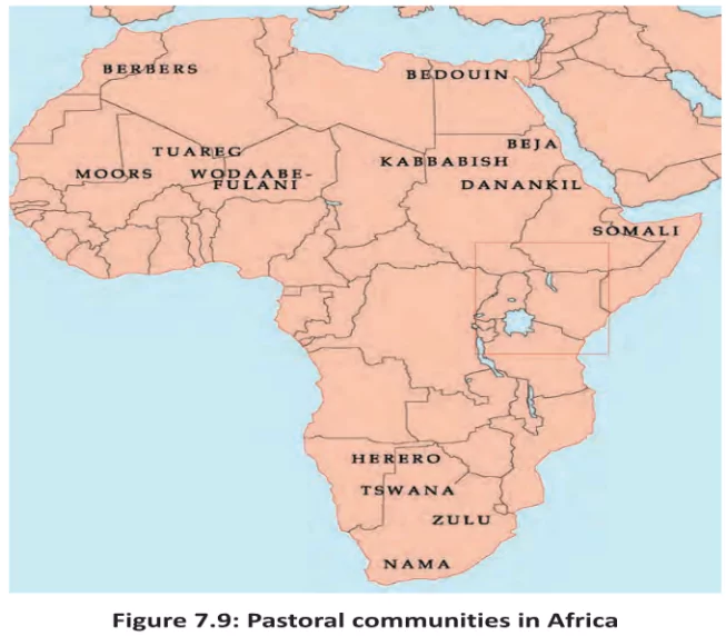 Pastoralism in Africa
