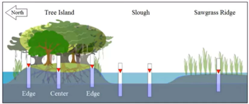 Tree Planting Schemes