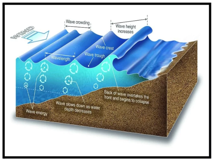 Rogue Waves