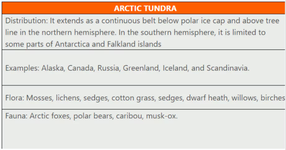 Arctic Wildfires