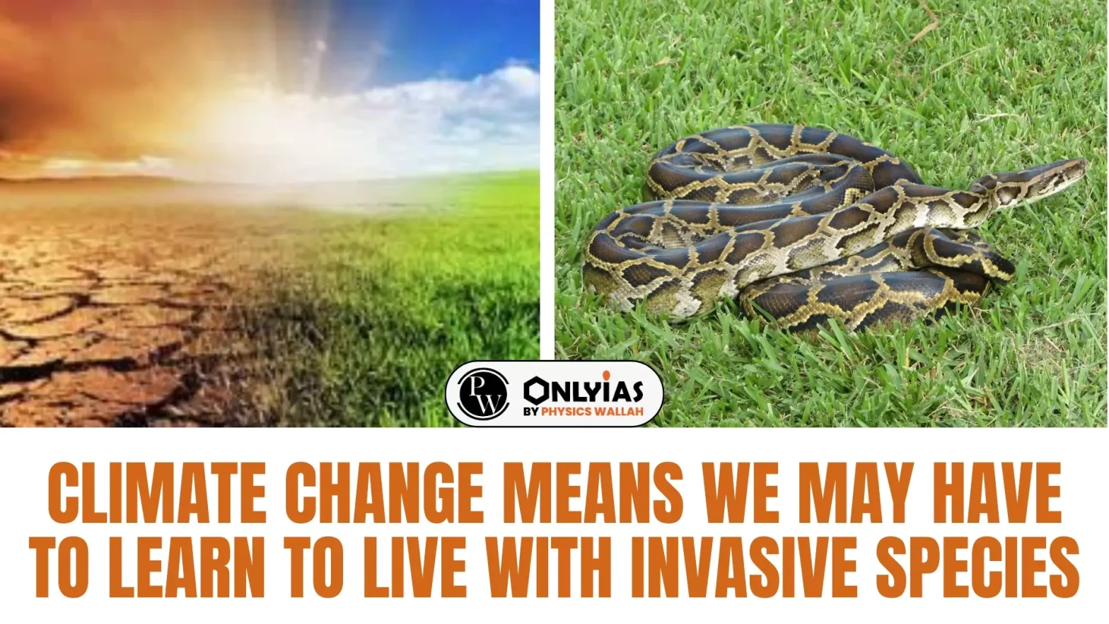 Climate change means we may have to learn to live with invasive species
