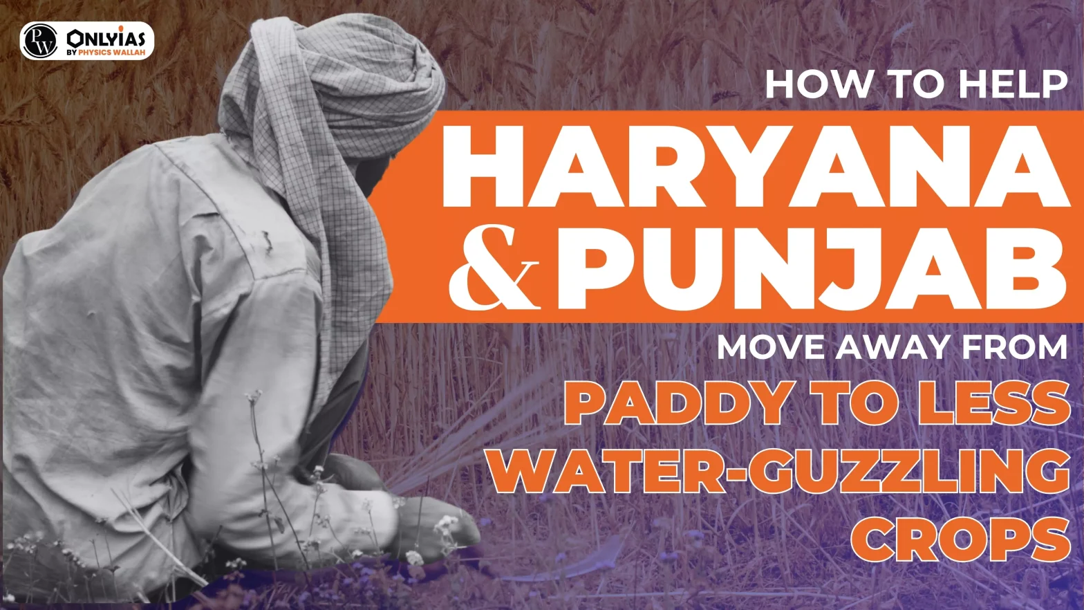 How to help Haryana and Punjab move away from paddy to less water-guzzling crops