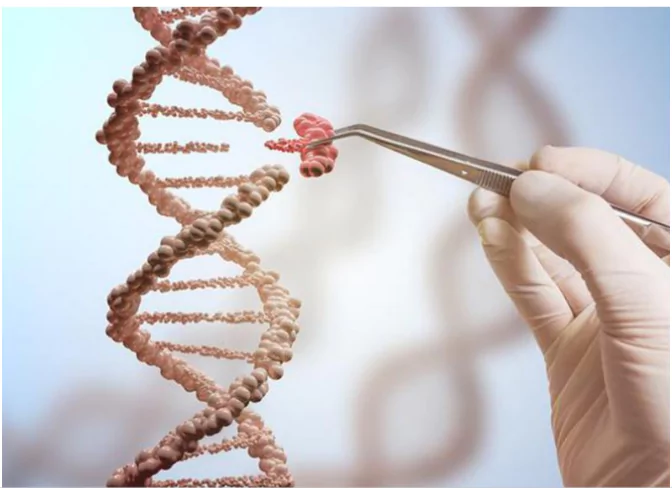 Genome-editing