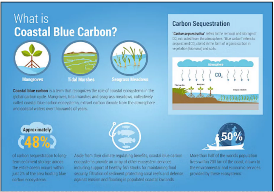 Blue Carbon