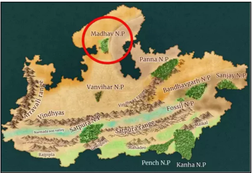 Madhav National Park