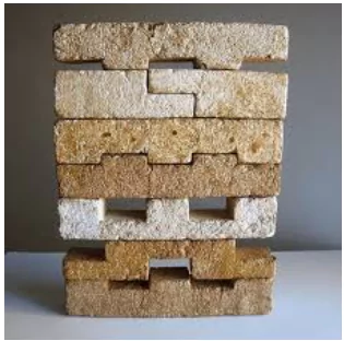 Mycelium Bricks