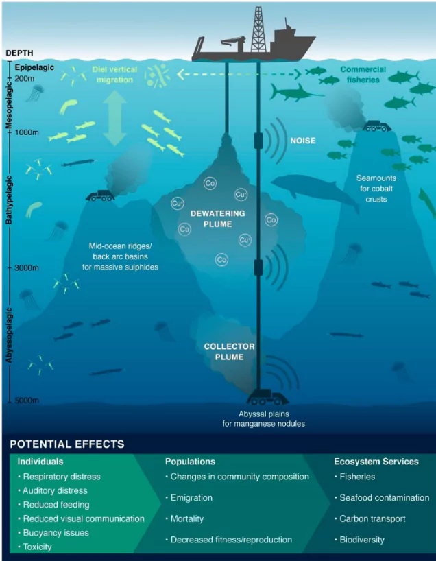 Deep Sea Mining