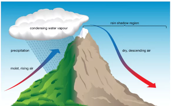 Flash Flood