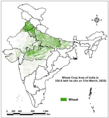 Wheat Production