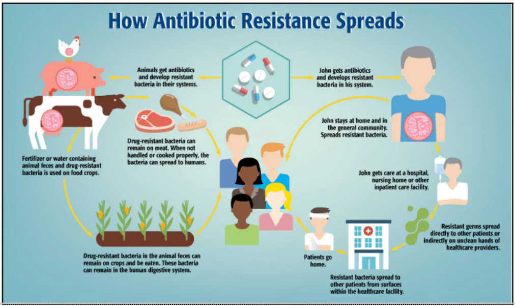 Antibiotics