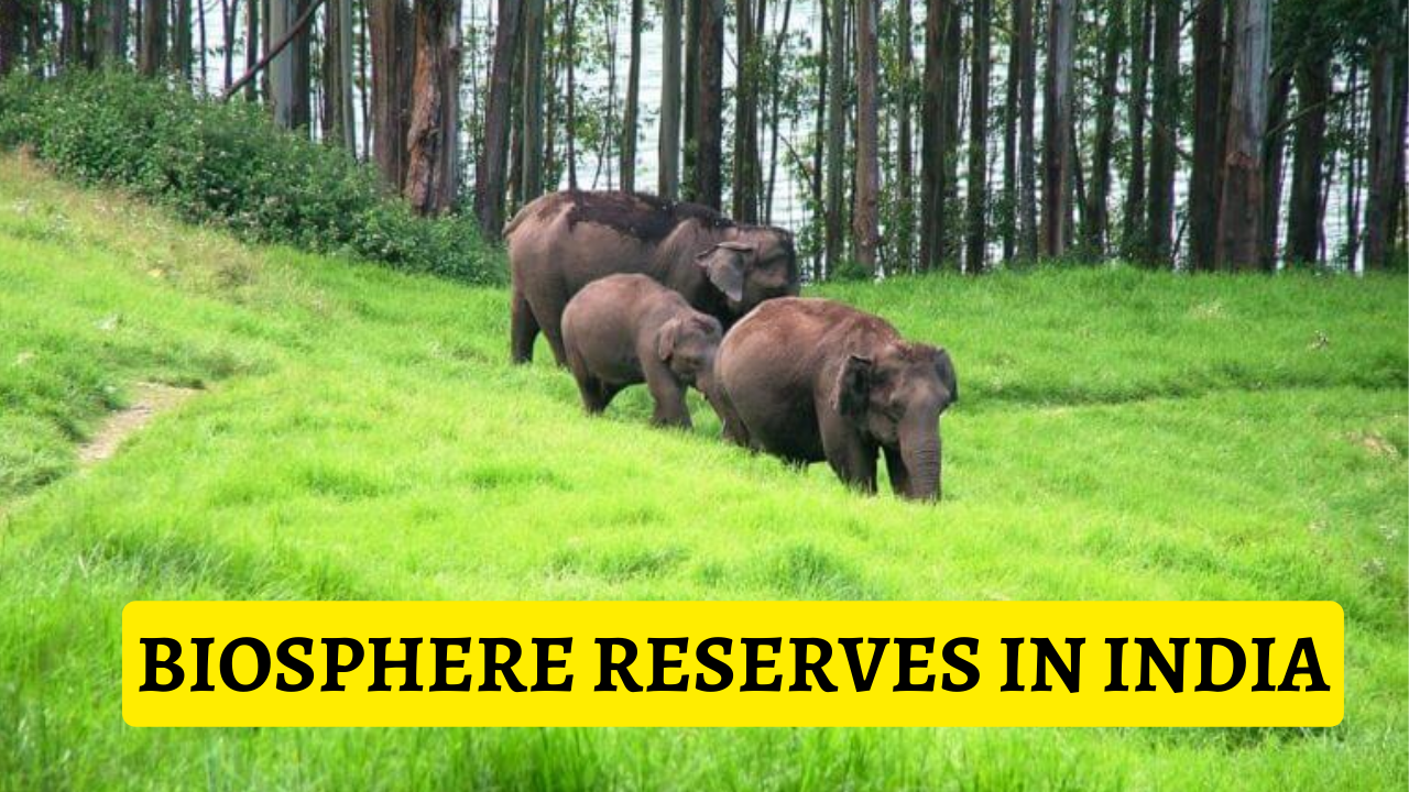 Biosphere Reserves in India: State-Wise List of Important Biosphere Reserves in India 2023