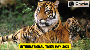 International Tiger Day 2023