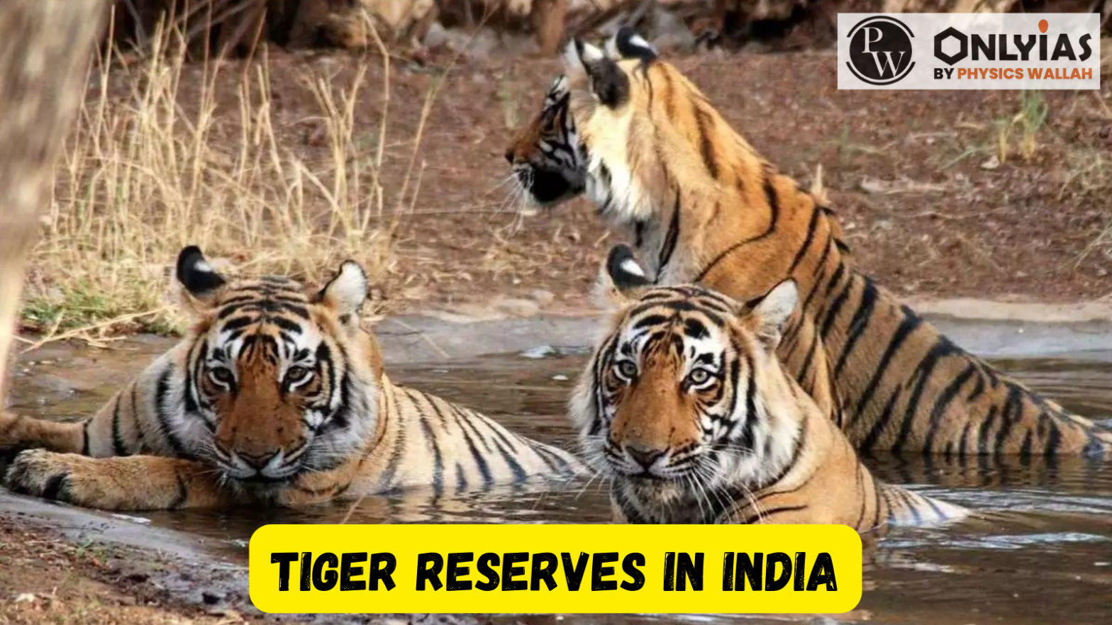Tiger Reserves in India 2023, List(Updated), Map, Schemes, Objectives