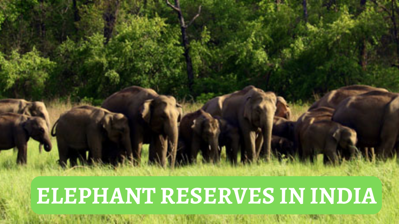 Elephant Reserves In India Updated List 2023: Project Elephant, Haathi Mere Saathi, MIKE Programme