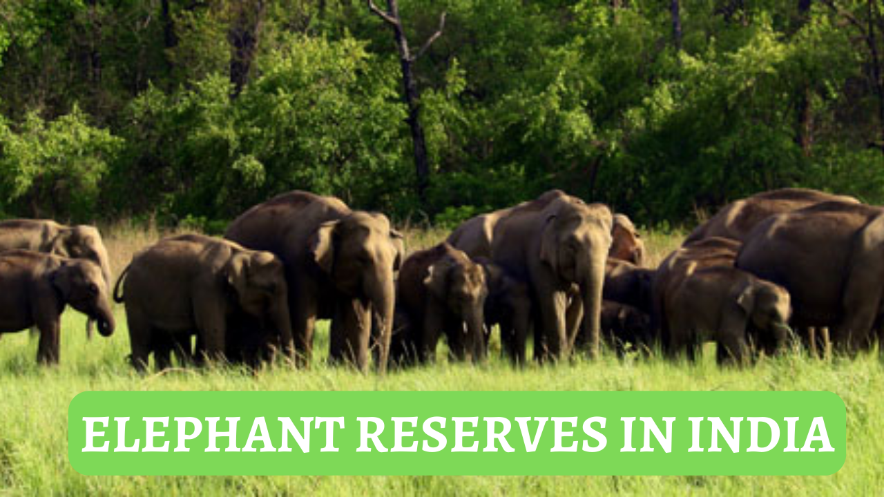 Elephant Reserves In India Updated List 2023: Project Elephant, Haathi