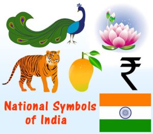 National Symbols of India with All 17 Names List