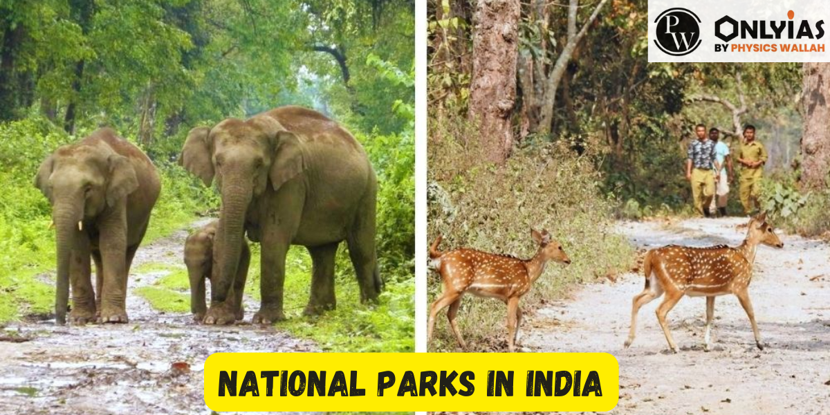 List Of All National Parks In India: Exploring India's Rich ...