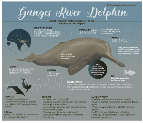 Dolphin population declines in vikramshila gangetic dolphin