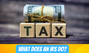 What does an Irs do