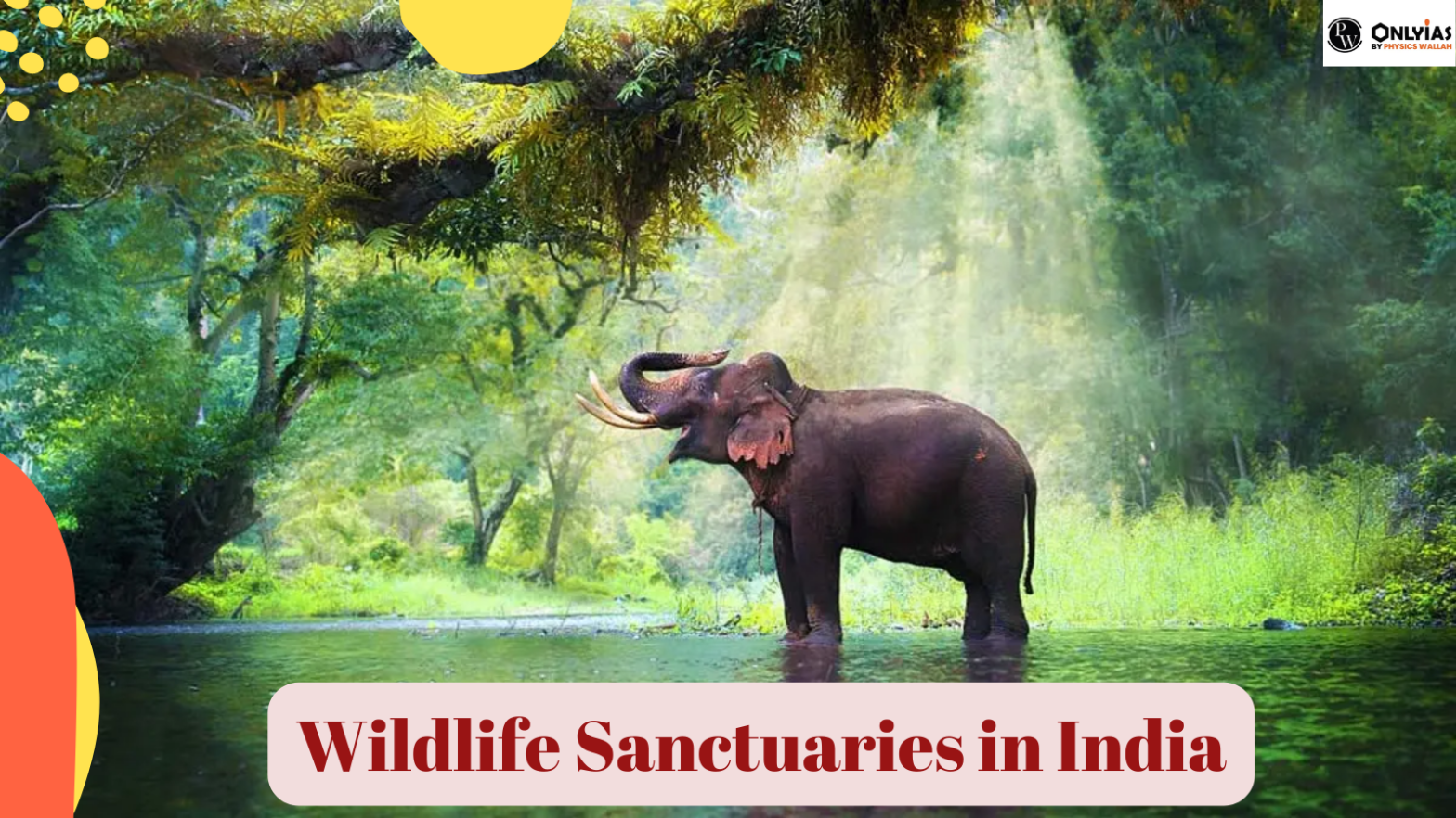 Complete List of 8 Wildlife Sanctuaries in India