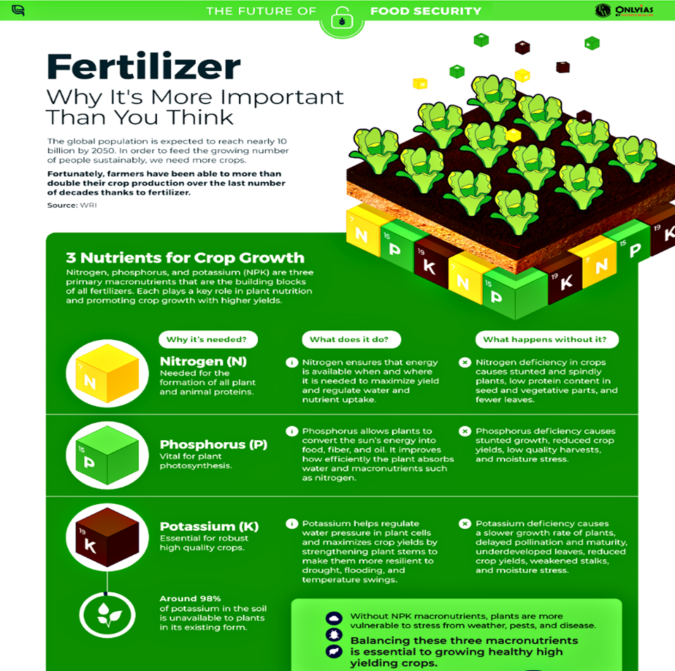 Chemical Fertilizers