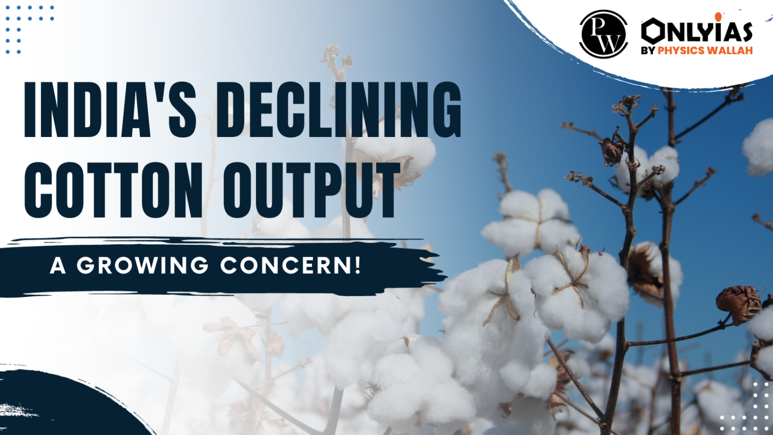 India’s Declining Cotton Output: A Growing Concern! PWOnlyIAS 2023