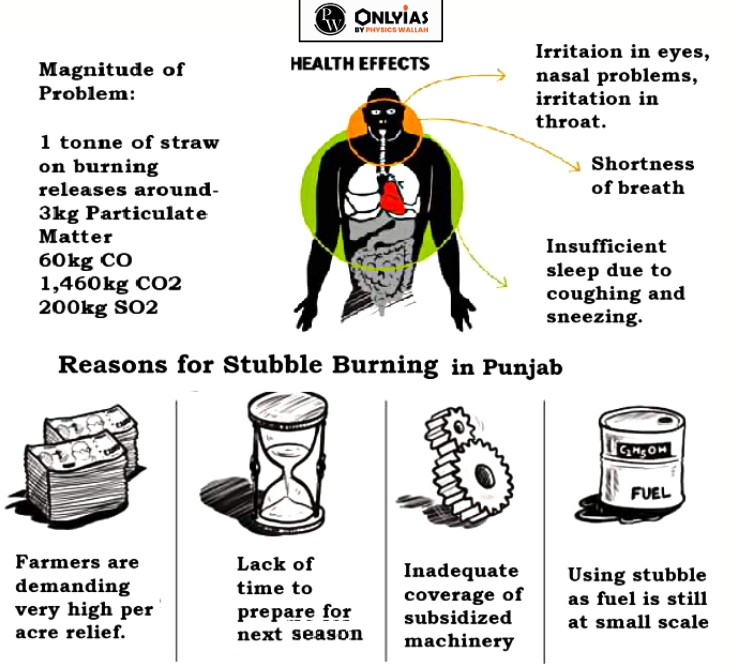 Stubble Burning