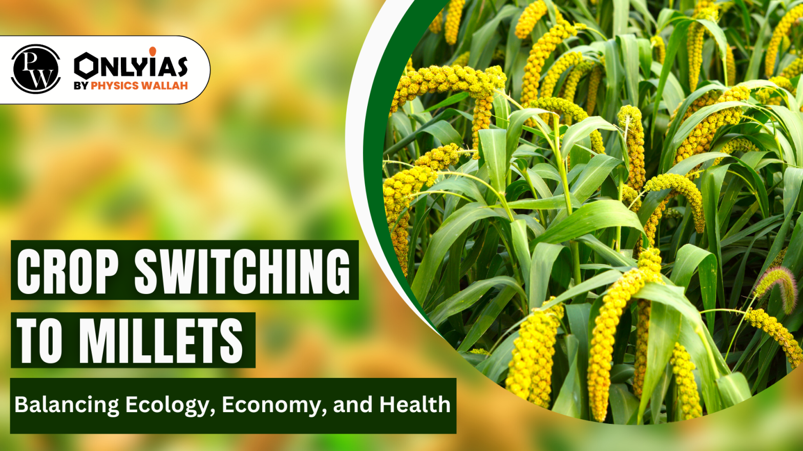 Crop Switching to Millets: Balancing Ecology, Economy, and Health