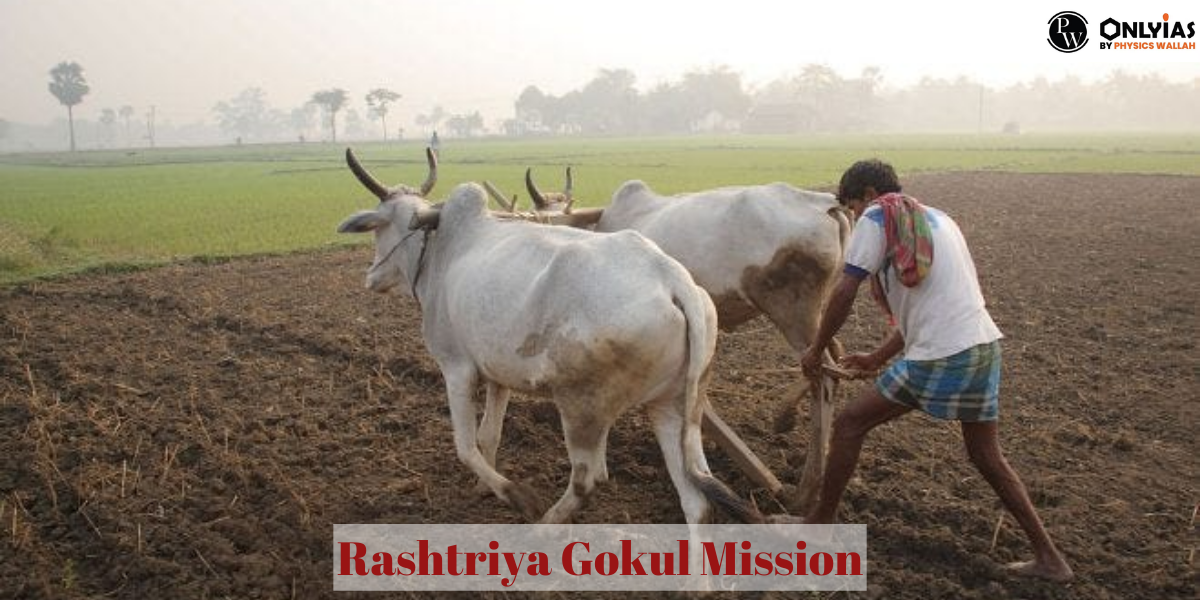 Rashtriya Gokul Mission Objective, Feature, Benefits And Eligibility