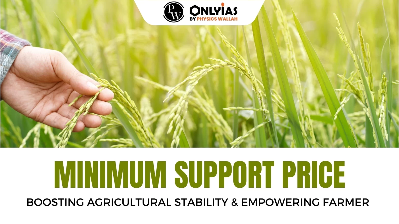 Minimum Support Price for Rabi Crop: Boosting Agricultural Stability & Empowering Farmer