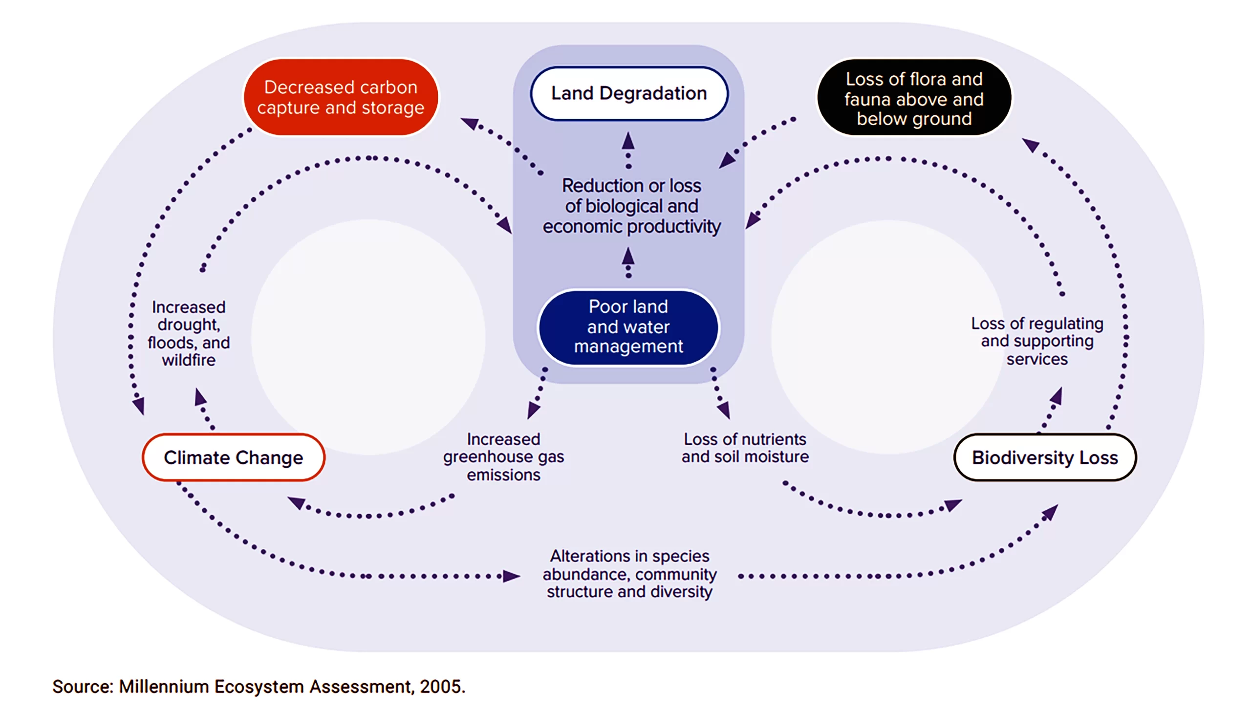 Land Degradation