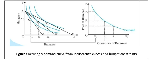 Deriving a Demand Curve from Indifference Curves and Budget Constraints: Analyzing Law of Demand 