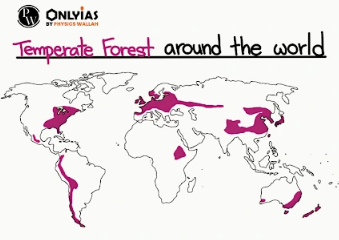 Temperate Forests around the world
