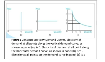 Constant Elasticity Demand Curve