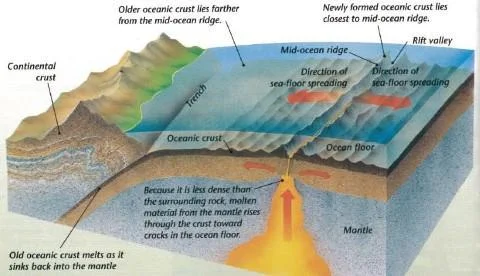 Concept of Seafloor Spreading: Earth's Dynamics of Indian Plate
