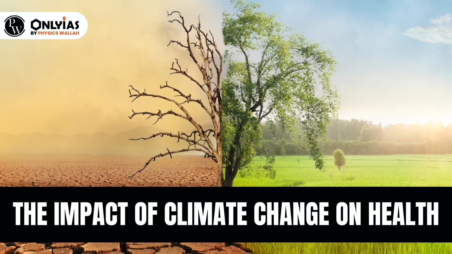 The Impact Of Climate Change On Health