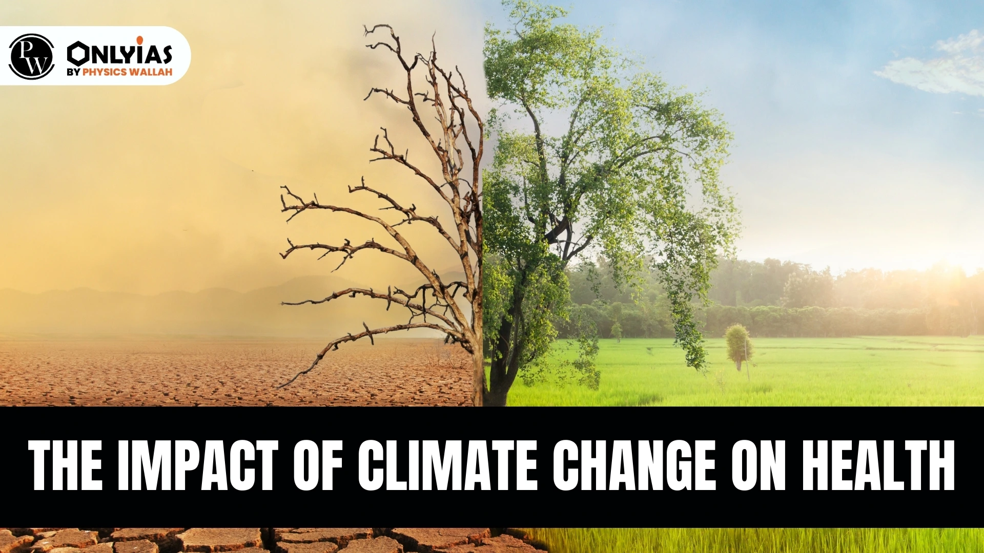 The Impact Of Climate Change On Health - PWOnlyIAS