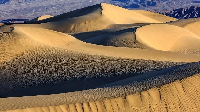 Sand Dunes: The Dynamic World of Desert Sand Dunes