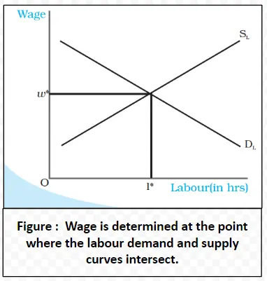 Wage is determined at the point where the labour demand and supply curves intersect.