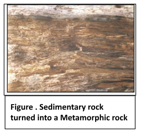 Sedimentary rock turned into a metamorphic rock