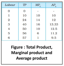Total Product Marginal product and Average product