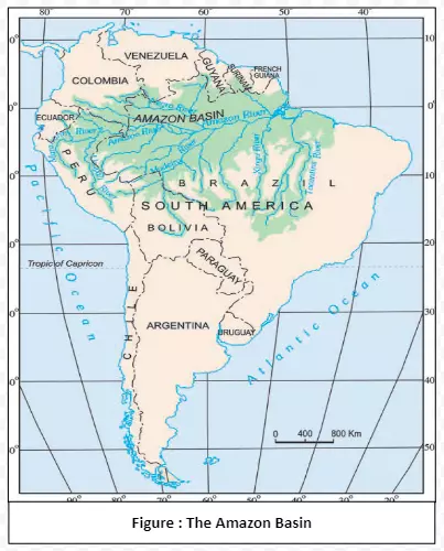 the Amazon Basin